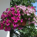 Urlaub Auf Dem Bauernhof Marx * Kelberg