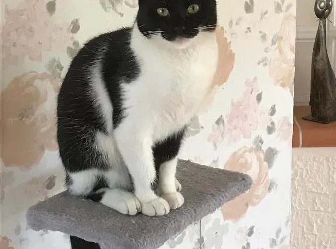 Urlaub Auf Dem Bauernhof Marx ファームステイ ケルベルク