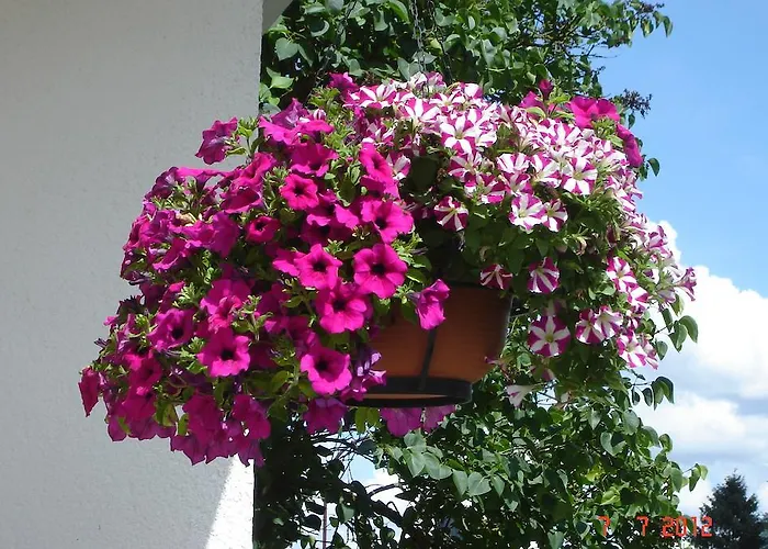 Urlaub Auf Dem Bauernhof Marx * Kelberg