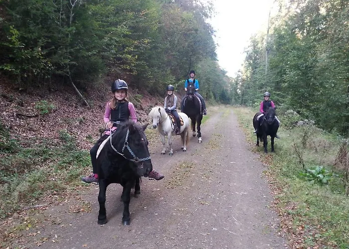 Urlaub Auf Dem Bauernhof Marx Farma *
